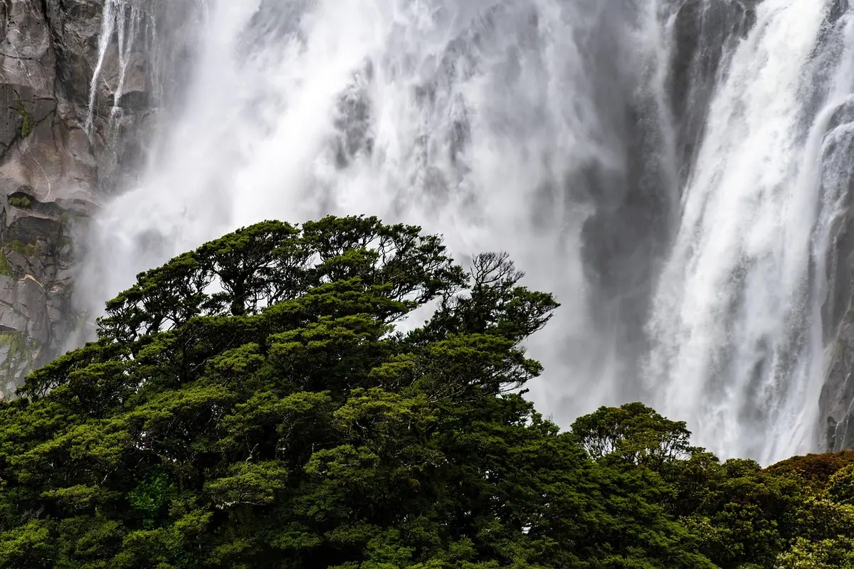 o que fazer em cachoeira de macacu