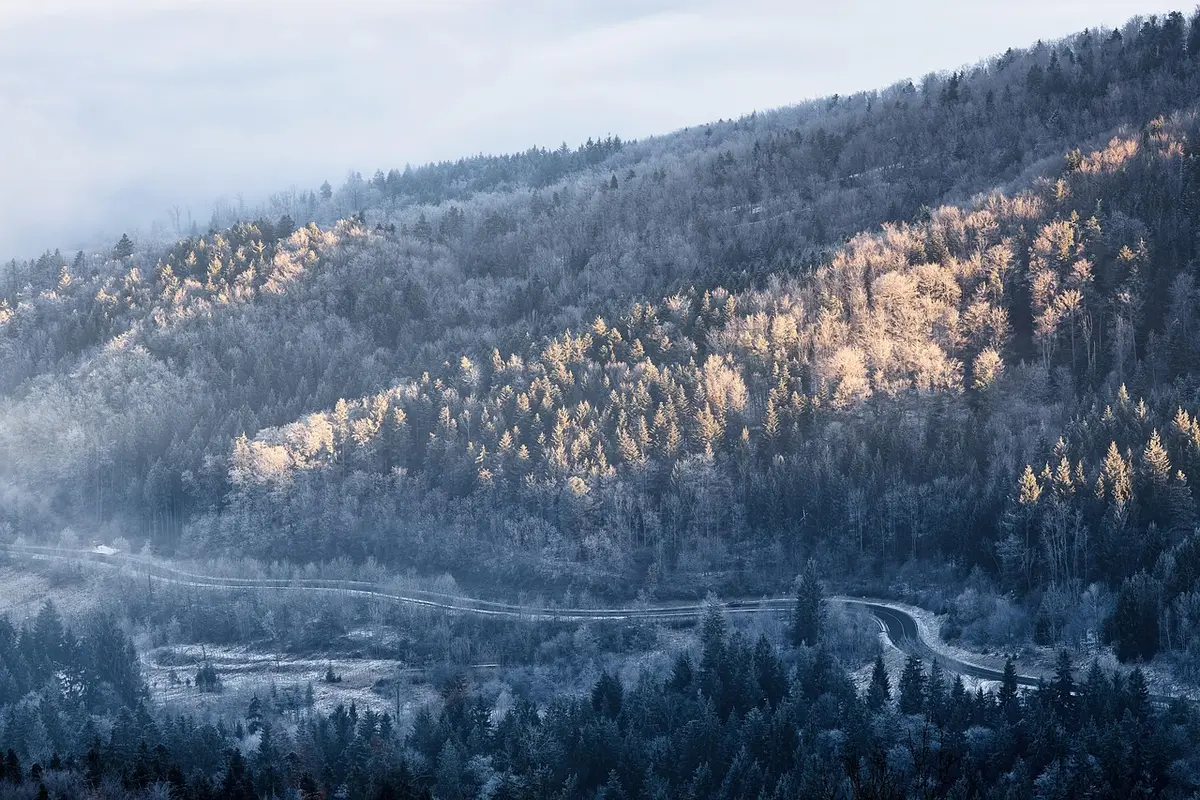 o que fazer em treze tilias