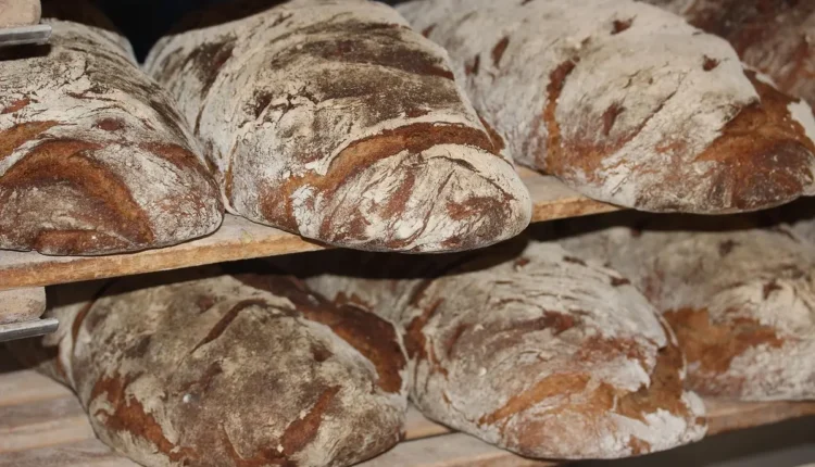 Melhores padarias do Rio de Janeiro: 10 lugares imperdíveis para os amantes de pão