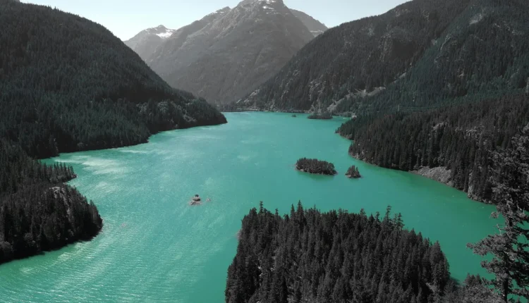 Melhores vans do Rio de Janeiro: 10 opções imperdíveis para você conhecer