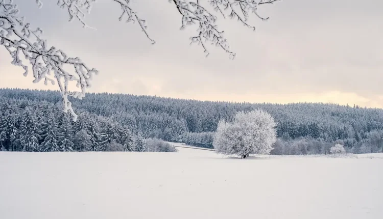 O Que Fazer Em Gramado De Graça Entenda As Melhores Opções