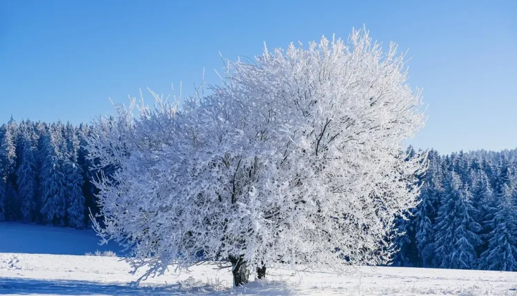 O Que Fazer Em Jundiaí Entenda As Melhores Opções