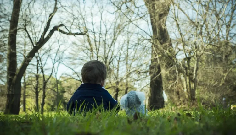 O Que Fazer Em Montevidéu Entenda As Melhores Opções