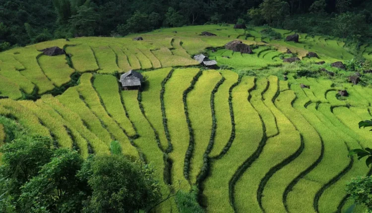 O Que Fazer Em Sapa: Descubra Tudo o Que Você Precisa Saber