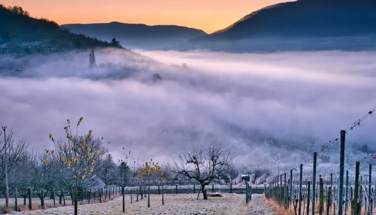 O Que Fazer em Bento Gonçalves: Tudo o Que Você Precisa Saber