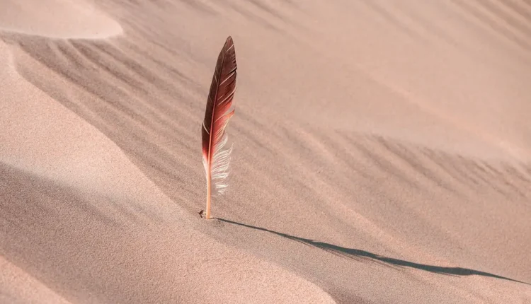 O Que Fazer em Campos do Jordão em 2 Dias Tudo o Que Você Precisa Saber