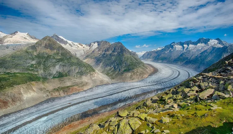 O Que Fazer em Joinville: Tudo o Que Você Precisa Saber