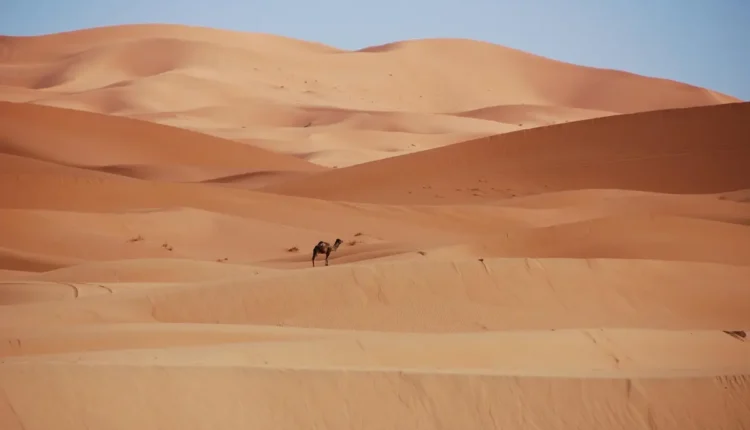 O Que Fazer em Lençóis Maranhenses Tudo o Que Você Precisa Saber