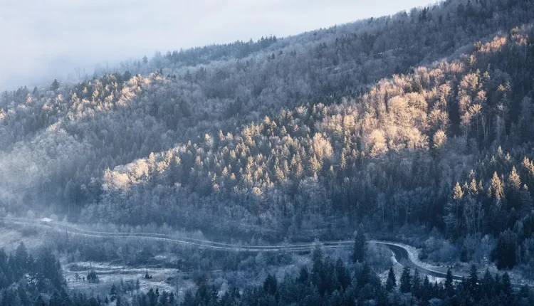 O Que Fazer em São Lourenço: Tudo o Que Você Precisa Saber