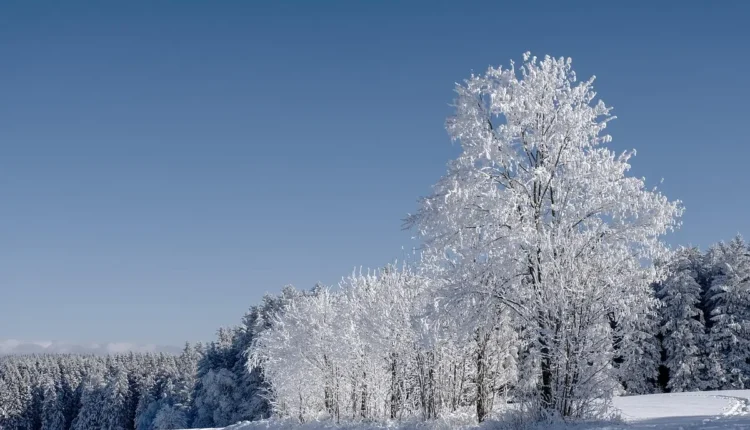 O Que Fazer em Águas de São Pedro Entenda o Melhor da Cidade