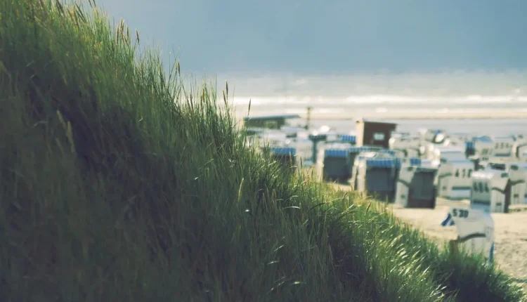 O que Fazer em Florianópolis Entenda o Essencial