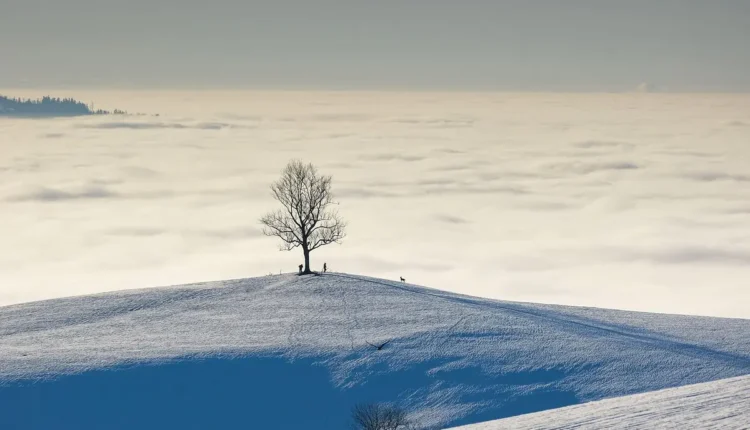 O que Fazer em Águas de São Pedro: Guia Completo para Explorar a Cidade