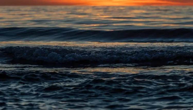 O que fazer em Porto de Galinhas à Noite: Guia Completo de Atividades