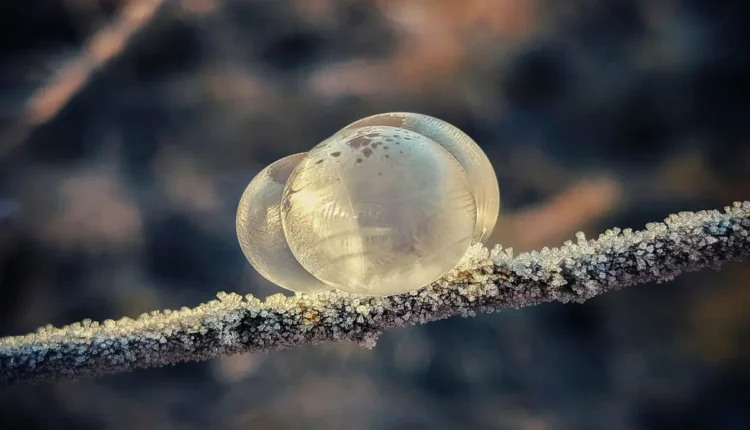 Melhores sorveterias de Foz do Iguaçu: 10 opções irresistíveis para descobrir