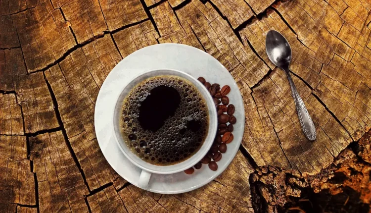 Melhores cafeterias de Campos do Jordão: 10 paradas irresistíveis para os amantes de café