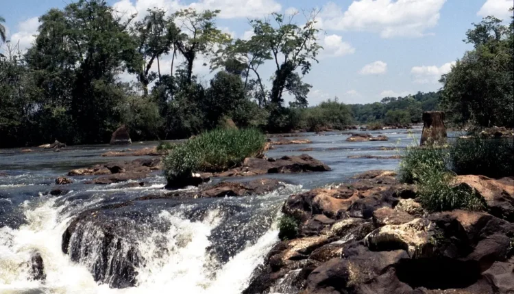 Melhores transfers de Foz do Iguaçu: 10 opções imperdíveis para sua viagem
