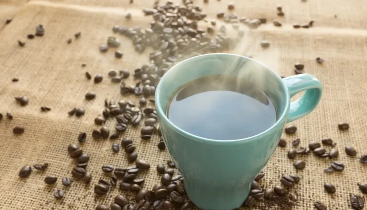 Melhores cafeterias de Maceió: 10 lugares imperdíveis para apreciar café