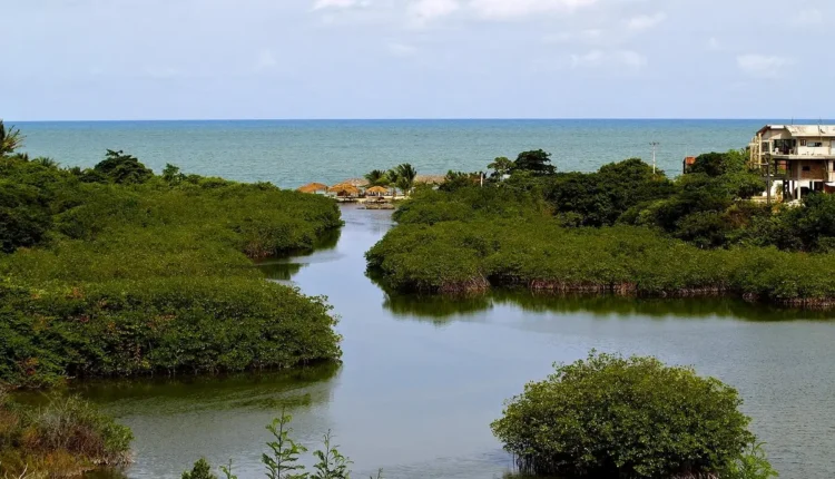 Melhores guias turísticos de Recife: 10 dicas essenciais para sua visita