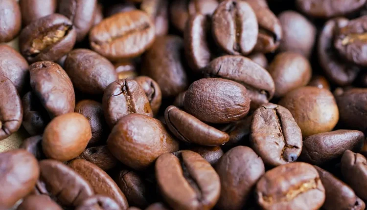 Melhores cafeterias de Porto Seguro: 10 imperdíveis para você conhecer