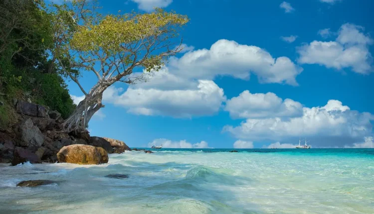 Melhores guias turísticos de Jericoacoara: 10 dicas imperdíveis para sua viagem