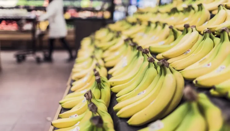 Melhores supermercados de São Luís: 10 opções imperdíveis para suas compras